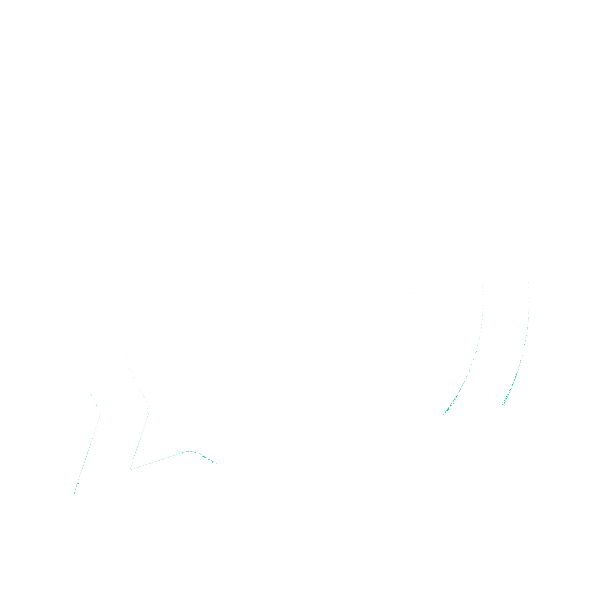 Business Update WhatsApp Channel